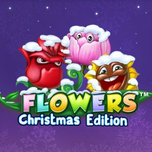 Flowers Christmas Edition