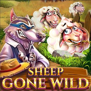 Sheep Gone Wild